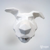 Funny dog head Funny dog head