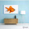 金魚 金魚
