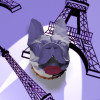 French bulldog French bulldog