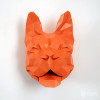 French bulldog French bulldog