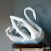 Cisne Cisne