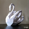 Cisne Cisne
