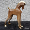 Foal