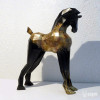 Foal