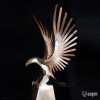 Eagle Eagle