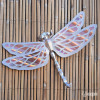 Dragonfly Dragonfly