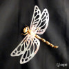 Dragonfly Dragonfly