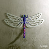 Dragonfly Dragonfly