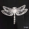 Dragonfly Dragonfly