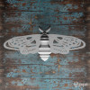 Moth Moth