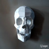 Cranio umano Cranio umano