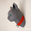 Katze