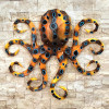 Pulpo Pulpo
