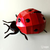 Ladybug Ladybug