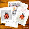 Ladybug Ladybug