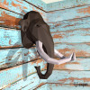 Mammut Mammut