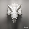 Triceratops Triceratops
