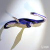 Plesiosaurus Plesiosaurus