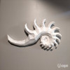 Conchiglia tropicale