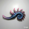 Conchiglia tropicale