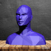 Mannequin head