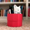 Cat box Cat box