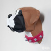 Testa di boxer
