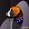 Testa di boxer