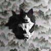 Wolf Wolf