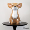 chihuahua chihuahua