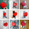 Gatto innamorato